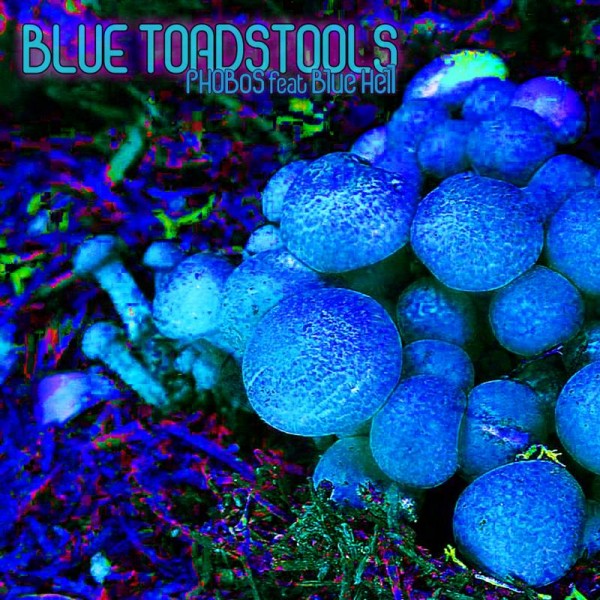Blue Toadstools - Cover art_S.jpg